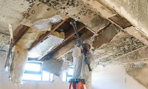 Best Mold Prevention Services  in Hughesville, PA